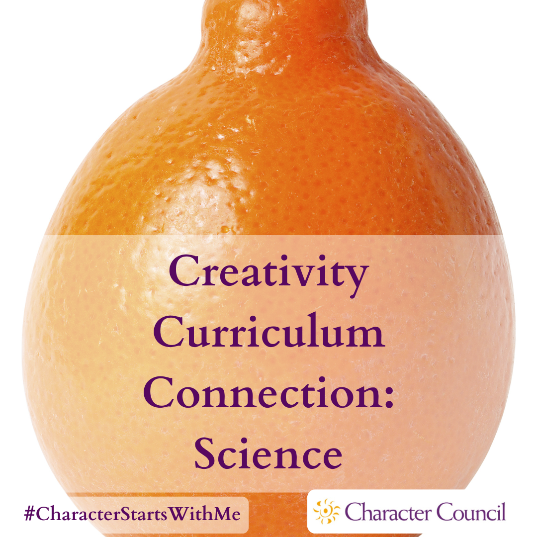 Creativity Curriculum Connection Resilience Curriculum Connection - Science