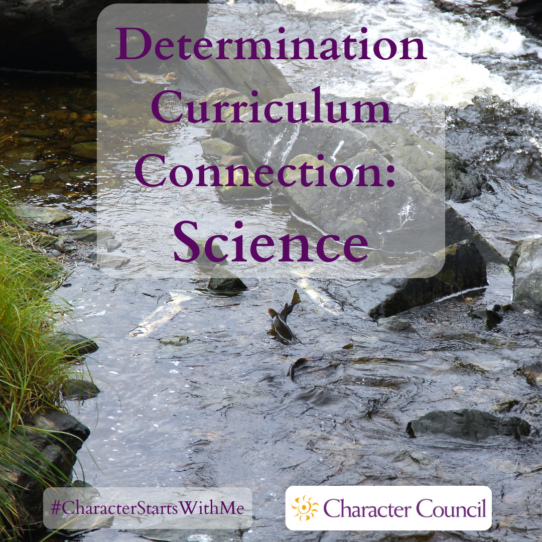 Resilience Curriculum Connection - Science